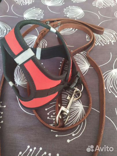 Шлейка(маечка) с поводком