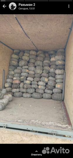 Тыква. Зимняя сладкая