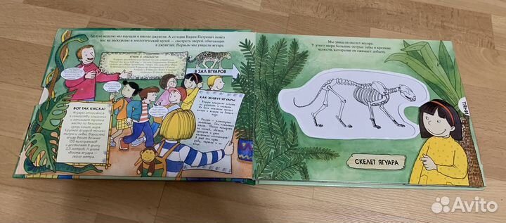 Животные тропического леса