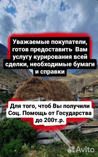 Куры несушки в наличии, соц контракт