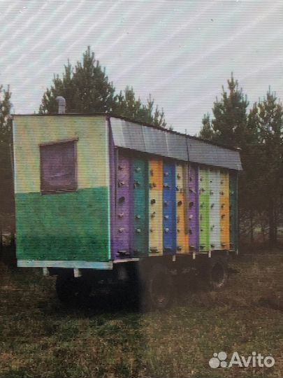 Пчелопавильон