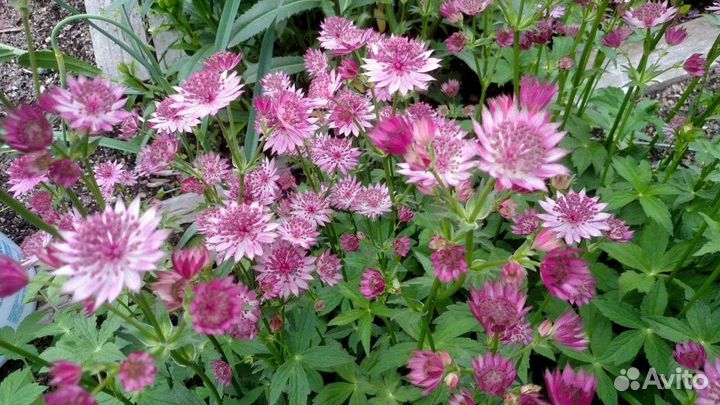 Осенний декор