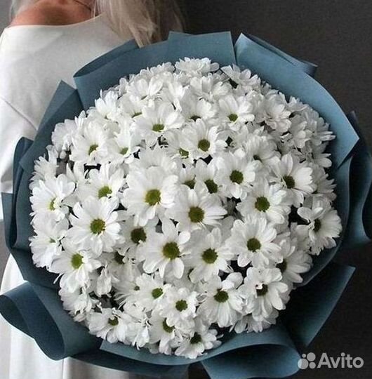 Хризантема. Букеты Цветы доставка