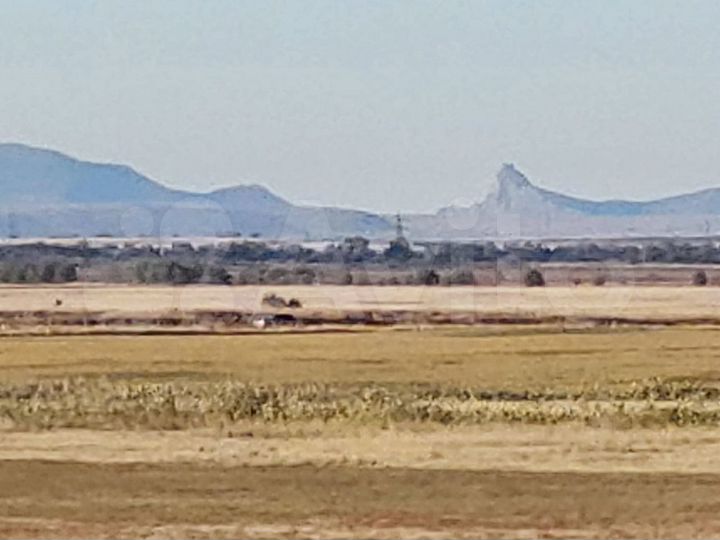 Участок 8,2 сот. (СНТ, ДНП)