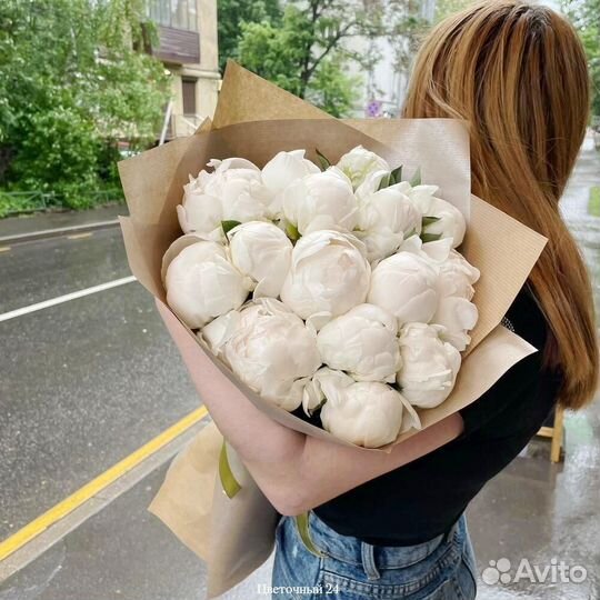 Пионы сара бернар