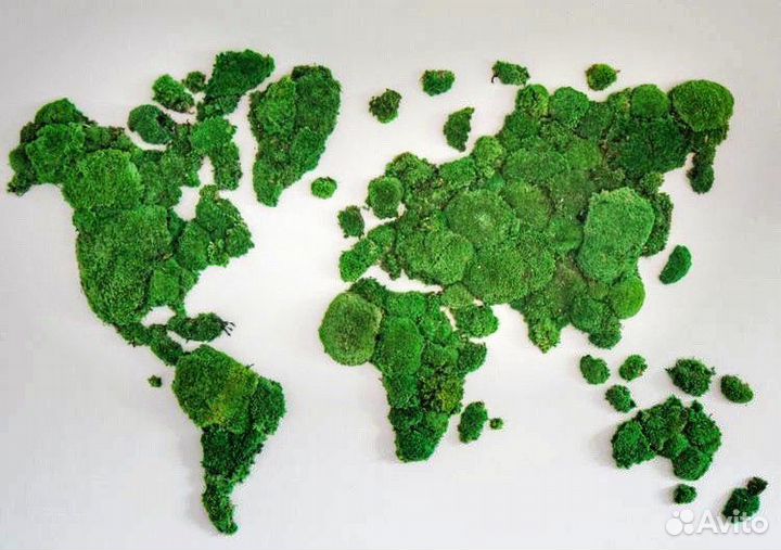 Вертикальное озеленение. Мох. Фитостена. Мебель