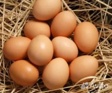 Домашние куриные яйца