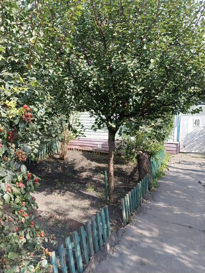 Дом 44 м² на участке 2,2 сот.