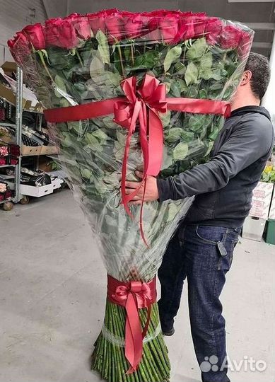 101 роза цветы букеты доставка 25 51 101 роза