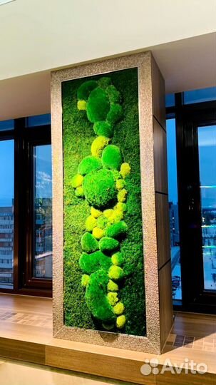 Панели из стабилизированного мха