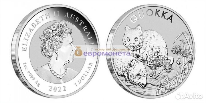Австралия 1 доллар 2022 год Квокка (Quokka) Два ма