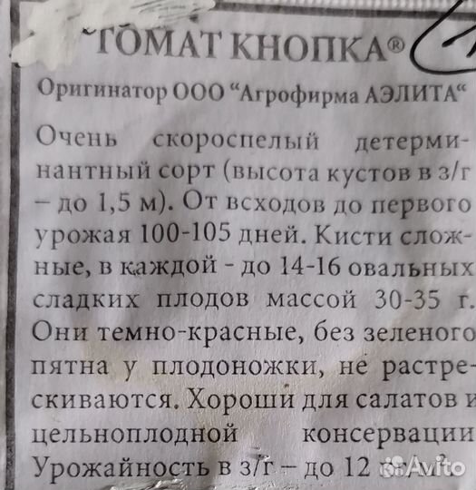 Рассада помидор томатов