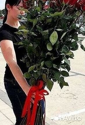 Высокие розы Гигантские розы с доставкой