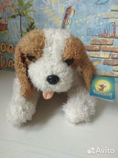 Кот и собака музыкальные