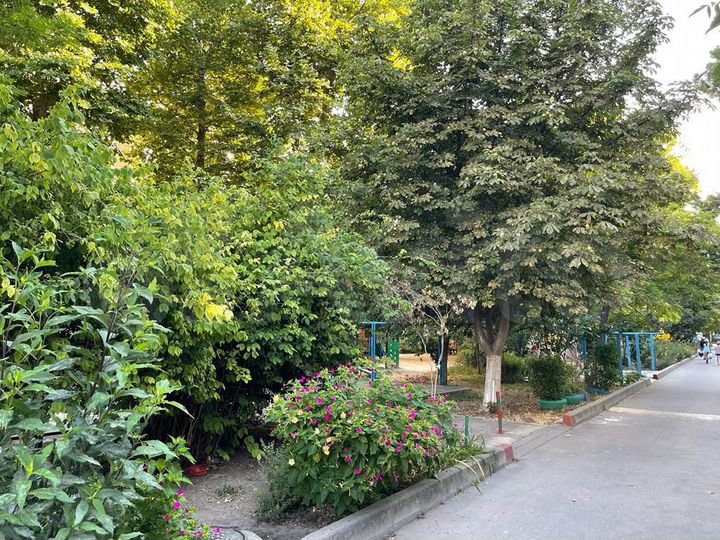 2-к. квартира, 47,3 м², 2/5 эт.