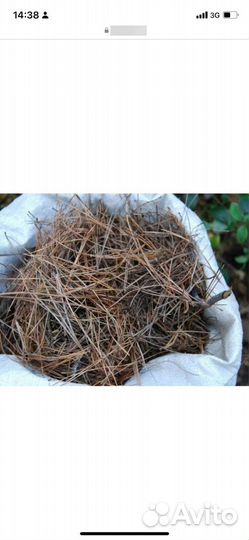 Игольник в мешках