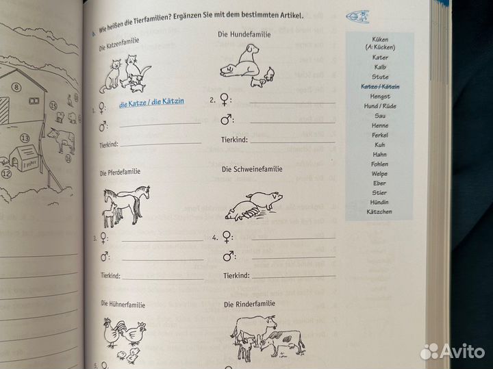 Упражнения по немецкому hueber grosses übungsbuch