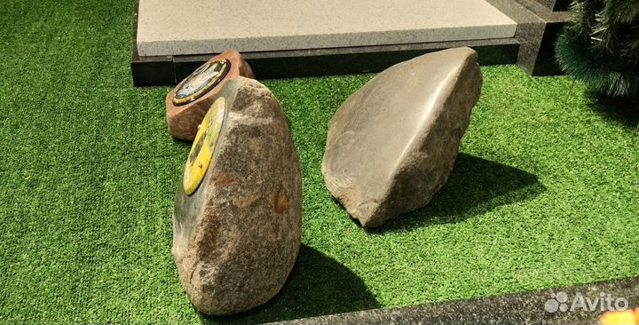 Памятник собаке, кошке и другим животным в Твери