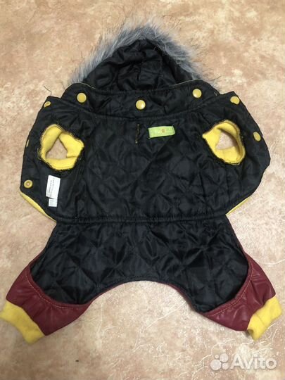 Одежда для собак