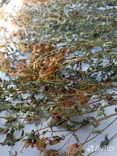 Зверобой, мелисса