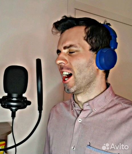 Ведущий. Певец. Актёр Озвучки. Диктор. Запись