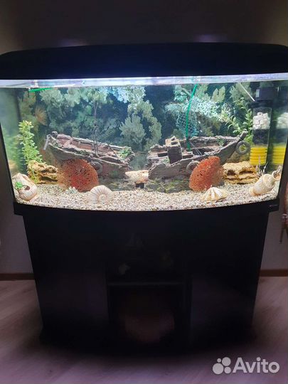 Аквариум с тумбой 300 литров
