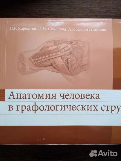 Анатомия человека в графологических структурах