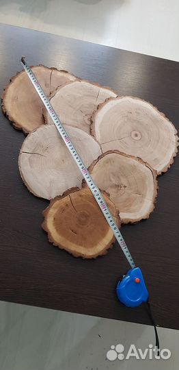 Спилы из дерева