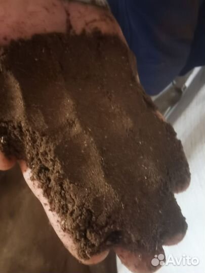 Рапсовый шрот