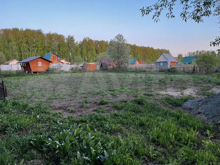 Участок 7,5 сот. (СНТ, ДНП)