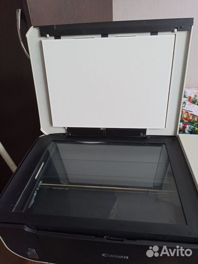 Принтер мфу струйный Canon