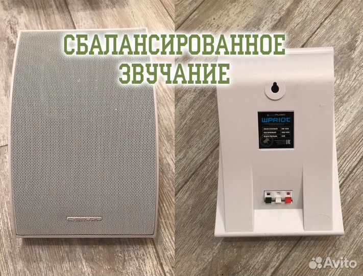 Настенная акустика cvgaudio WPA10TW