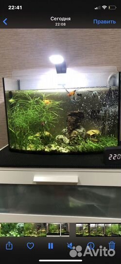Аквариум с рыбками
