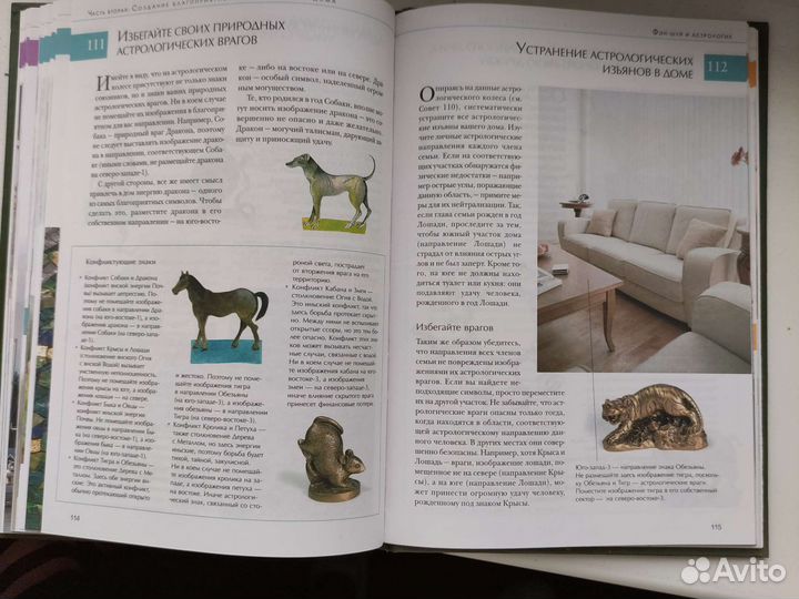 Книга фен шуй