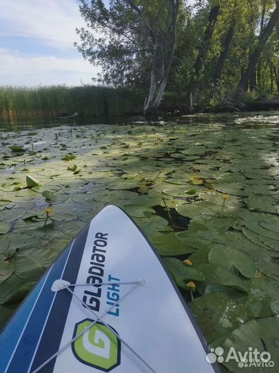 Сап борд прокат / Sup board