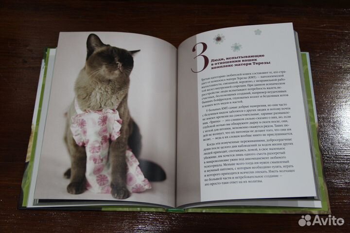 Почему собаки лучше кошек