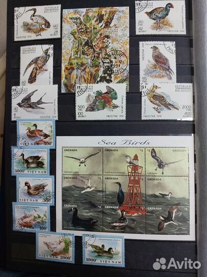 Комплект марок блоков Фауна к.171