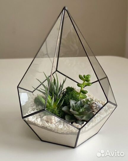 Флорариум композиция суккуленты