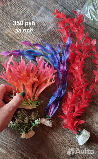 Украшения в аквариум (водоросли растения)