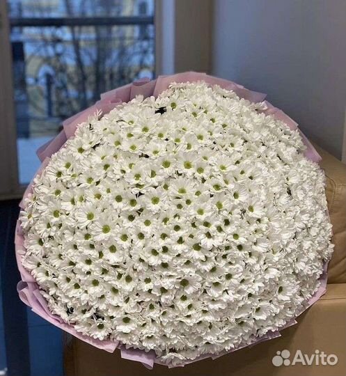 Букет цветов хризантемы, букет гигант из ромашек