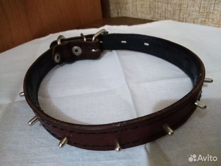 Ошейник для маленькой собаки