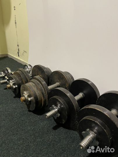 Гантели разборные