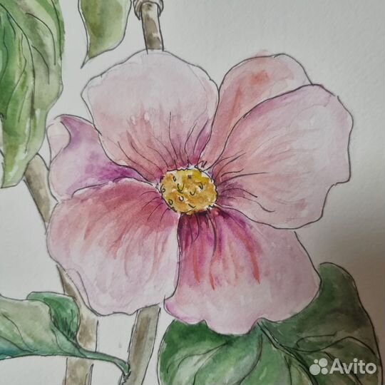 Картина с птицей и цветами акварель цветы птичка