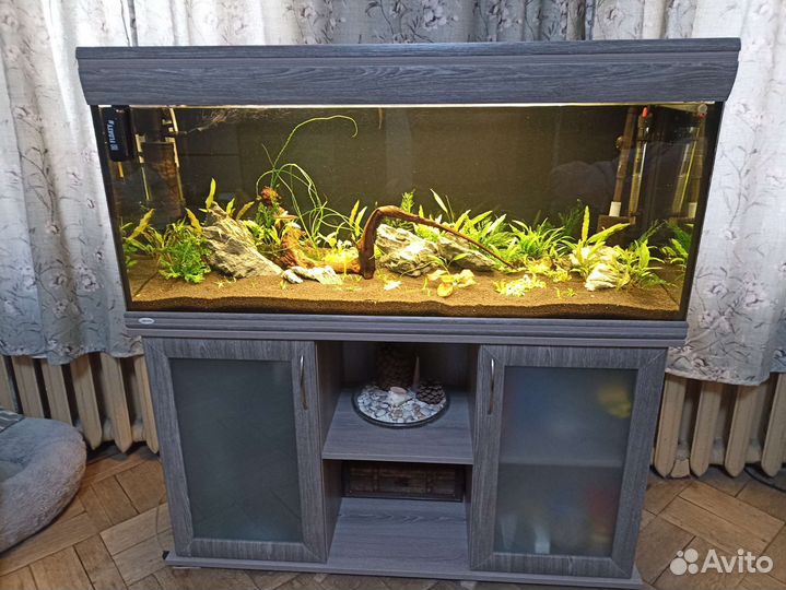 Аквариум 250л с тумбой и фильтром