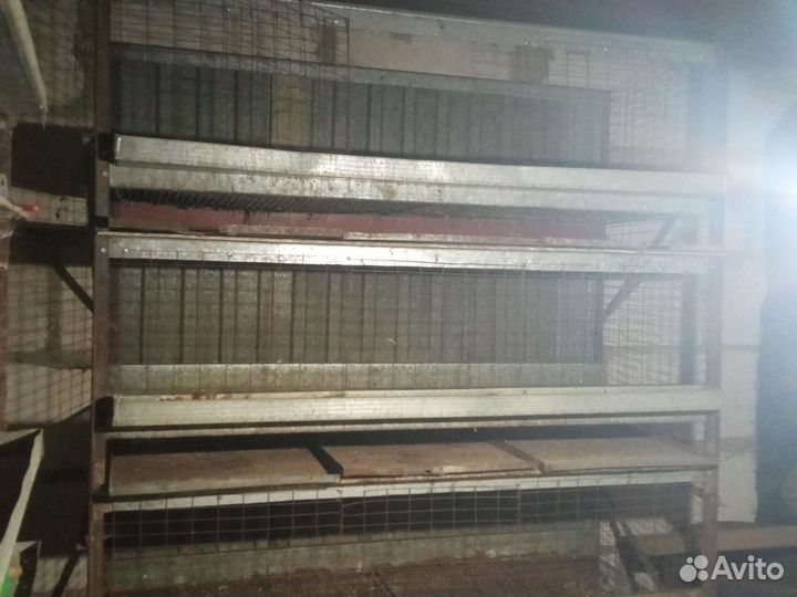 Большая клетка для птиц