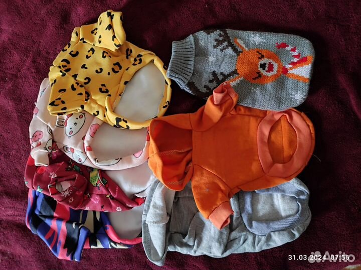 Одежда для маленьких собак