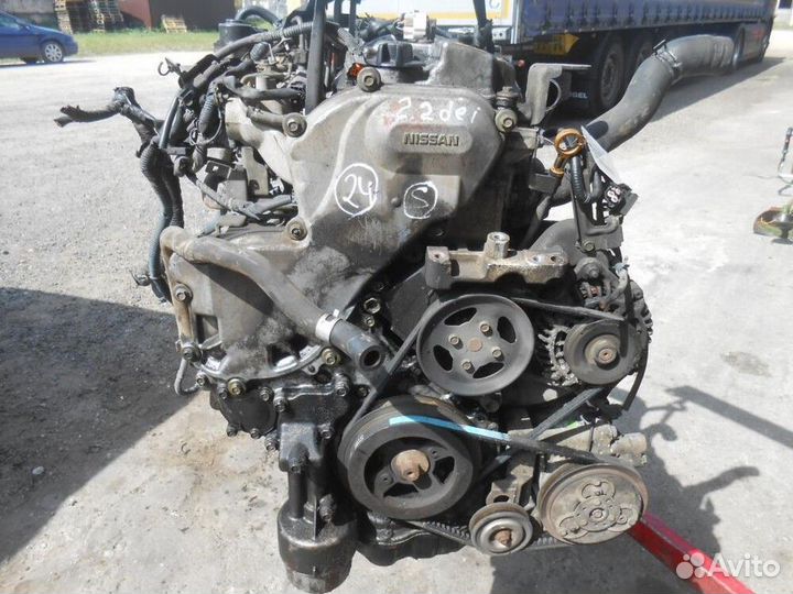 Двигатель yd22ddti разбор