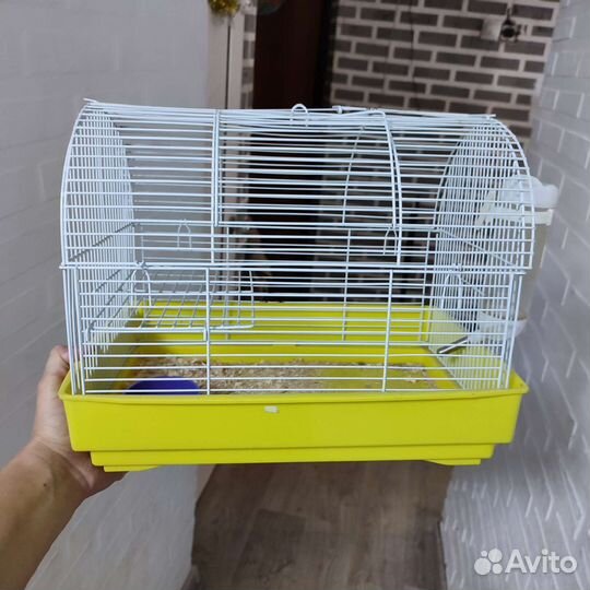 Клетка для грызунов бесплатно