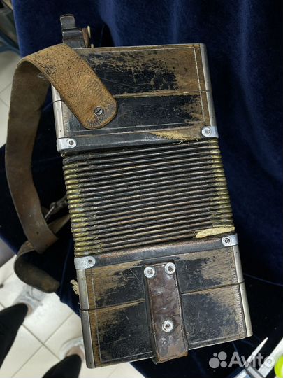 Гармонь старинная (сзр)