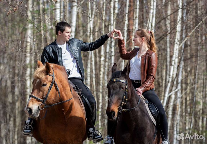 Катание на лошадях, пони на праздник